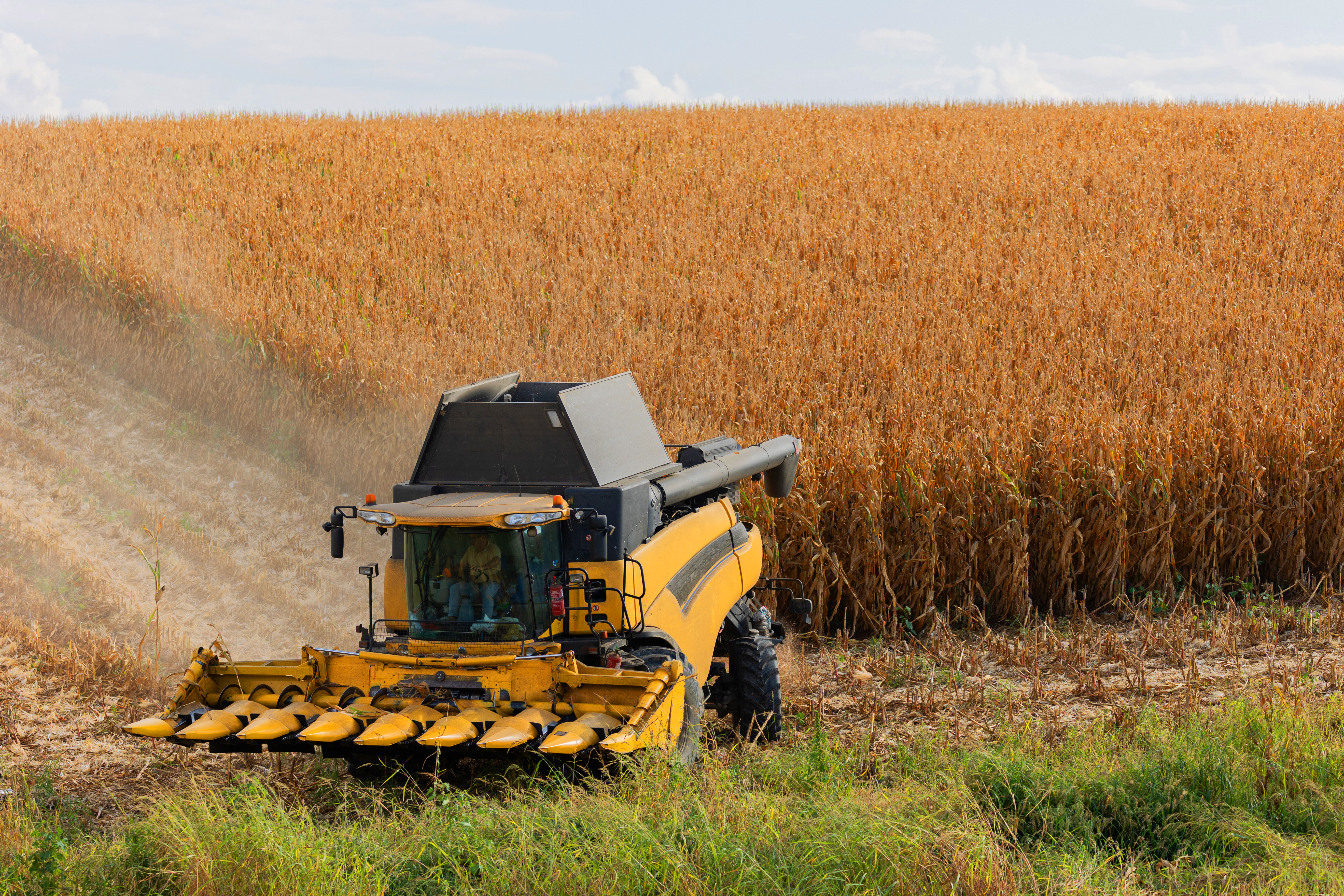 Soil Compaction in the Field: A Constant Challenge 1